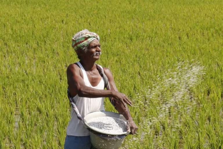 खरीप हंगाम पीक  स्पर्धेत शेतकऱ्यांनी सहभाग घेण्याचे कृषी विभागाचे आवाहन