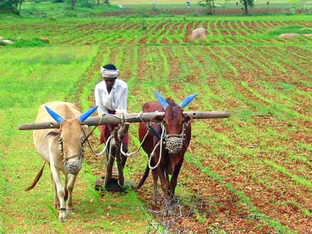 शेतकऱ्यांच्या अडचणी सोडवण्यासाठी व्हाट्सॲप क्रमांक कार्यान्वित