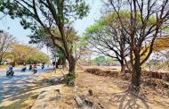 रस्त्याच्या रुंदीकरणासाठी घरे व झाडे पाडण्यासाठी पालिकेचे सक्तीचे आदेश