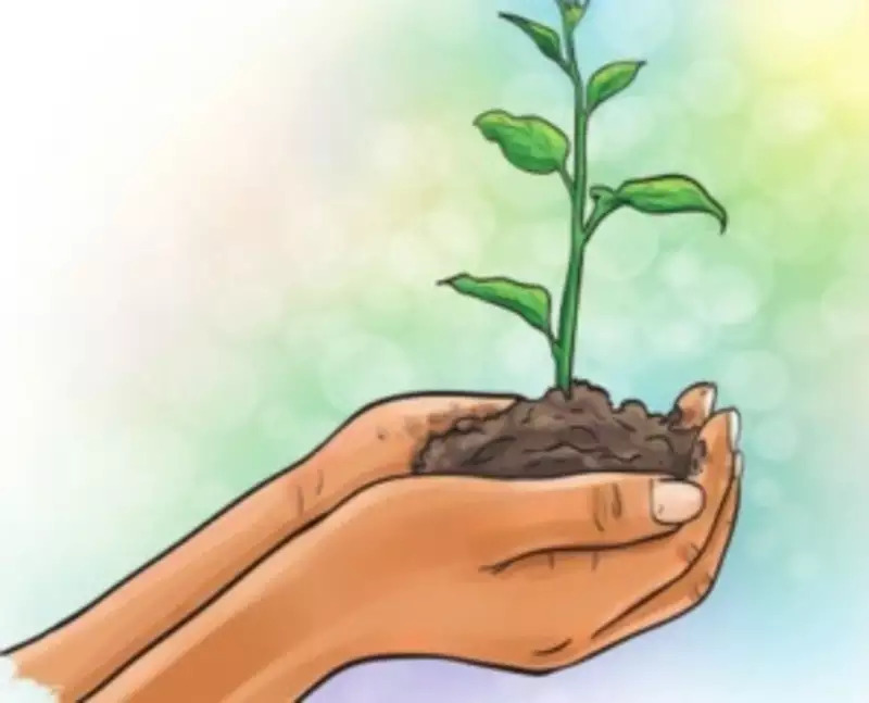 महानगरपालिकेच्या वतीने भव्य वृक्षारोपण मोहीमेची झाली सुरुवात..