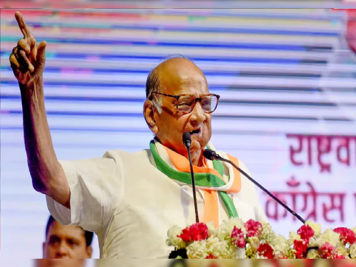शरद पवार यांची पुण्यात सभा दसऱ्याच्या मुहूर्तावर होणार असल्याची राजकीय चर्चा