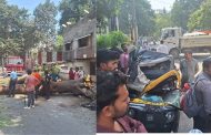 कोथरूड येथे रिक्षावर झाड कोसळून अपघात: चार जण जखमी