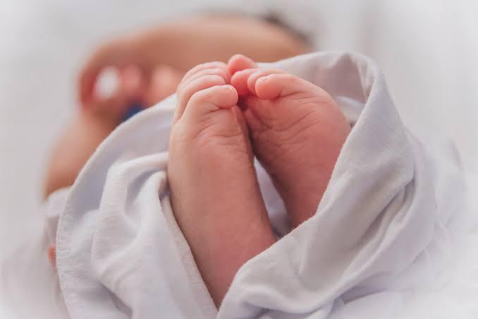 धक्कादायक! गवतात आढळले जिवंत अर्भक; लिंगाच्या ठिकाणी गंभीर जखम