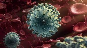 ‘जेएन- १’  चाचण्या वाढविण्याचे आरोग्य मंत्री प्रा. डॉ. तानाजीराव सावंत यांचे निर्देश