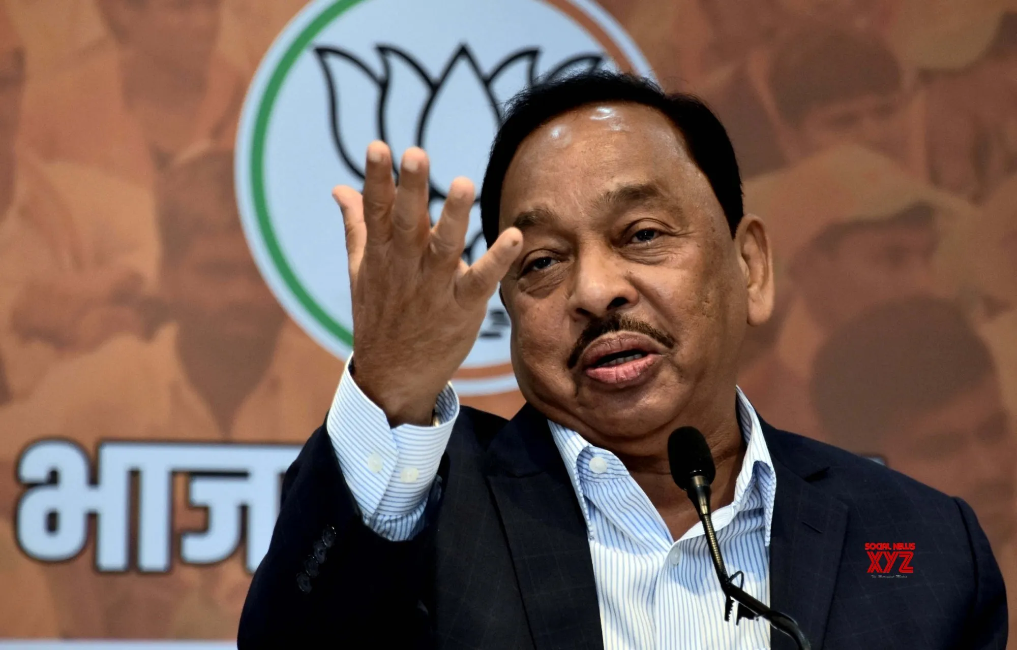 शंकराचार्यांचे हिंदू धर्मासाठी योगदान काय? नारायण राणींचा सवाल