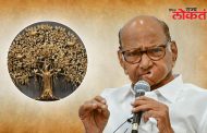 वटवृक्ष चिन्ह शरद पवार गटाला देऊ नये ; विश्व हिंदू परिषदेची निवडणूक आयोगाकडे मागणी ?