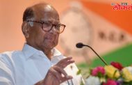 ईडी म्हणजे भाजपाचा सहकारी पक्ष झाला आहे शरद पवार यांची भाजपवर टीका