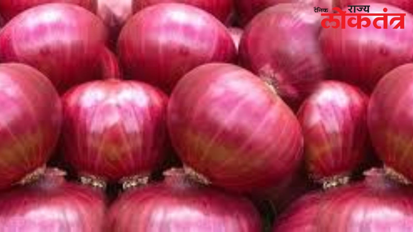 कांदा उत्पादनात ४७ लाख टनांनी घट? जाणून घ्या केंद्र सरकारचा अंदाज