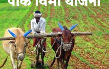 शेतकऱ्यांनी पीक विमा नोंदणीसाठी अतिरिक्त रक्कम देऊ नये-कृषि आयुक्त