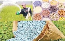 बियाणे, खते खरेदी करताना अशी घ्यावयाची काळजी(Seeds and fertilizers)
