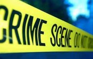 पायी चालत जाणाऱ्या इसमांचे मोबाईल चोरून नेणारे चोरटे जेरबंद (Crime)
