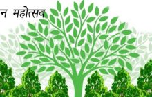 वनमहोत्सवादरम्यान सामाजिक वनीकरण विभागातर्फे सवलतीच्या दराने रोपांचा पुरवठा