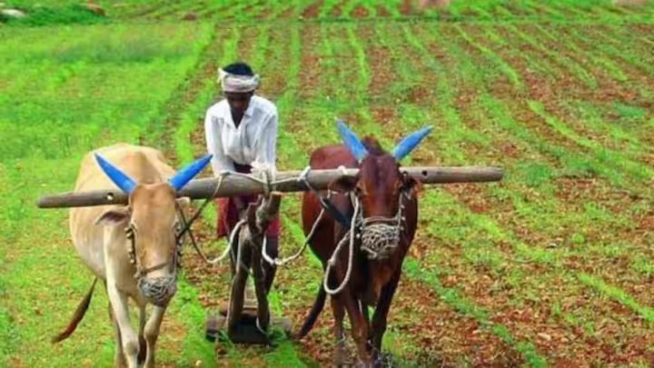 साखर संकुल येथे शेतकरी दिनाचे आयोजन