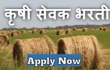 कृषी सेवक पदभरती साठी ३ ऑक्टोबरपर्यंत अर्ज करण्याचे आवाहन
