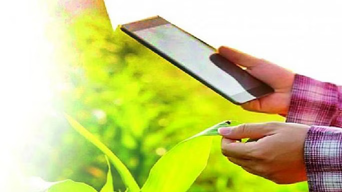 शेतकऱ्यांनी तात्काळ ई-पीक पाहणी करून घेण्याचे आवाहन