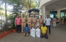 गांजा विक्री करणाऱ्याला रंगेहात पकडून ३१ किलो गांजा जप्त; हिंजवडी पोलिसांची मोठी कारवाई