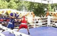 राजवीर अमित सुर्यवंशी यास स्टेट बॅाक्सिंग मध्ये सुवर्णपदक