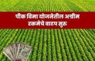 प्रधानमंत्री पीक विमा योजनेतील अग्रीम रकमेचे वाटप सुरु