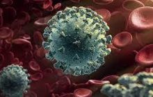 ‘जेएन- १’  चाचण्या वाढविण्याचे आरोग्य मंत्री प्रा. डॉ. तानाजीराव सावंत यांचे निर्देश