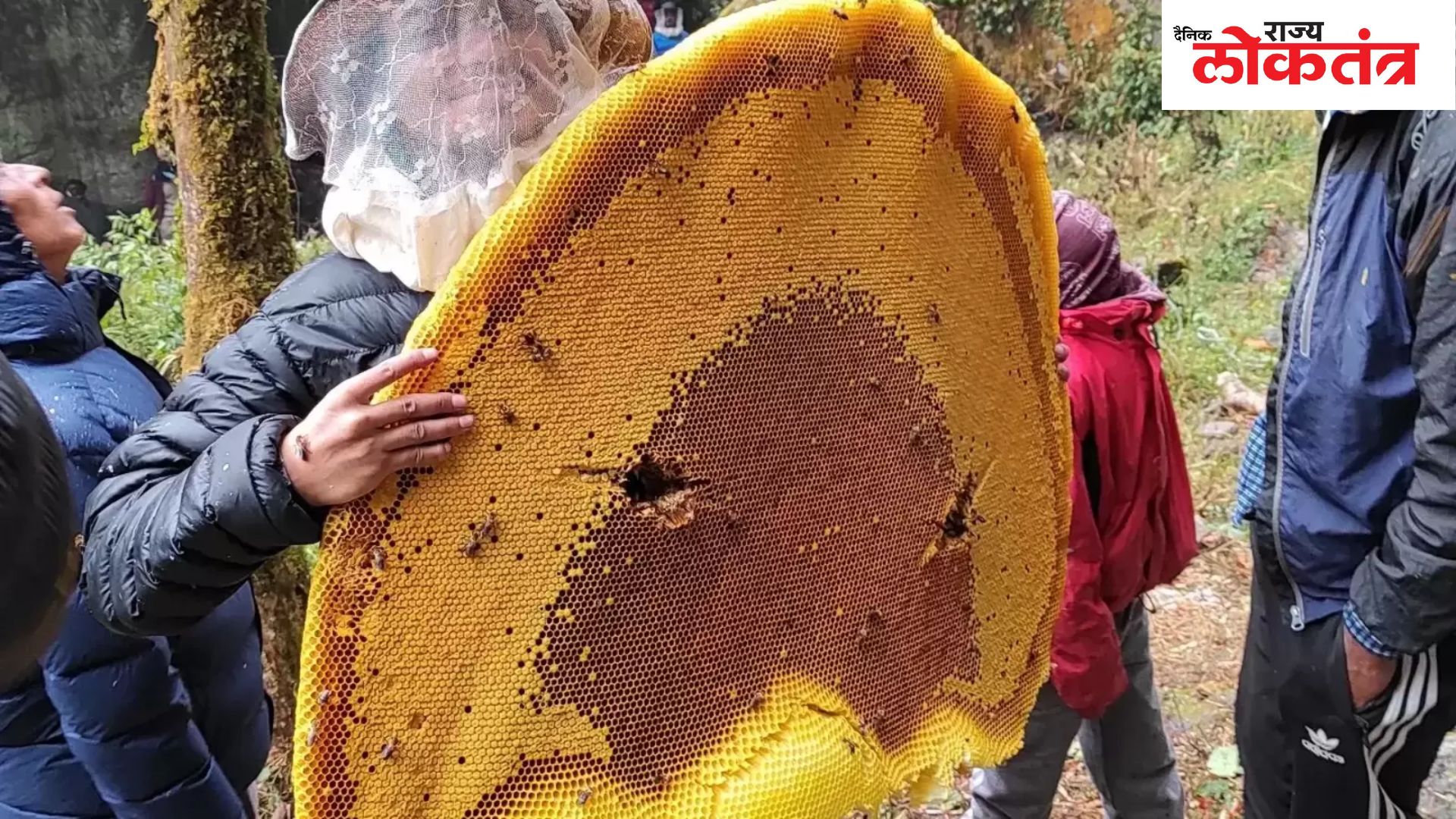 मुंबईतील यशवंतराव चव्हाण प्रतिष्ठान येथे भरणार देशातील पहिले मध मोहत्सव