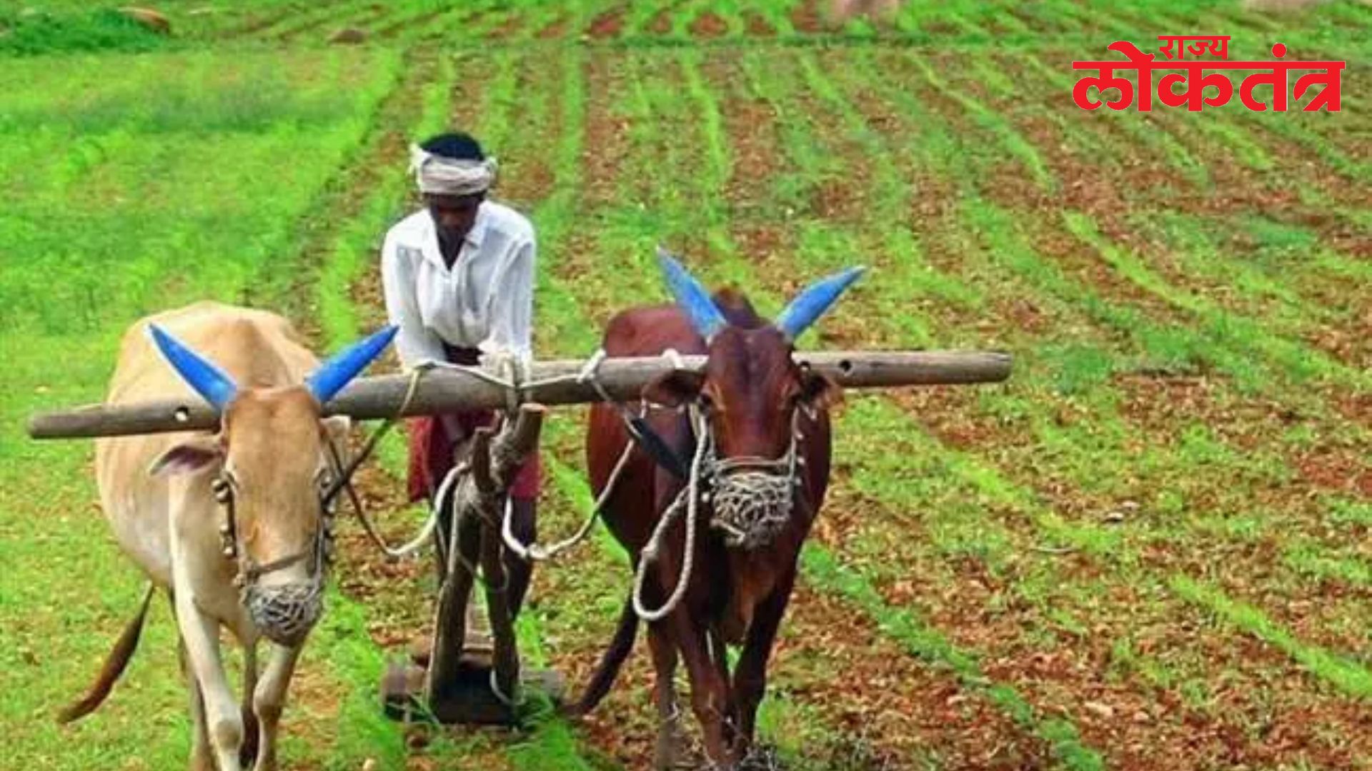 डिबीटी पद्धतीद्वारे 58 कोटी 53 लाख 11 हजार 82 हजार शेतकर्‍यांच्या खात्यात जमा