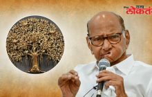 वटवृक्ष चिन्ह शरद पवार गटाला देऊ नये ; विश्व हिंदू परिषदेची निवडणूक आयोगाकडे मागणी ?
