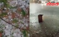 जालना-जाफराबाद तालुक्याला गारपिटीचा तडाखा! फळबागांच मोठं नुकसान