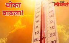 राज्यात तापमानाचा पारा वाढल्याने उष्माघाताचा धोका वाढला! राज्यात १३ रुग्णांची नोंद;  जाणून घ्या कोणत्या जिल्ह्यात सर्वाधिक प्रादुर्भाव