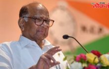 ईडी म्हणजे भाजपाचा सहकारी पक्ष झाला आहे शरद पवार यांची भाजपवर टीका