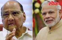 सासवडमध्ये पंतप्रधान मोदींवर धडाडली शरद पवारांची तोफ, ”हुकूमशाही करणाऱ्याला खड्यासारखे…”